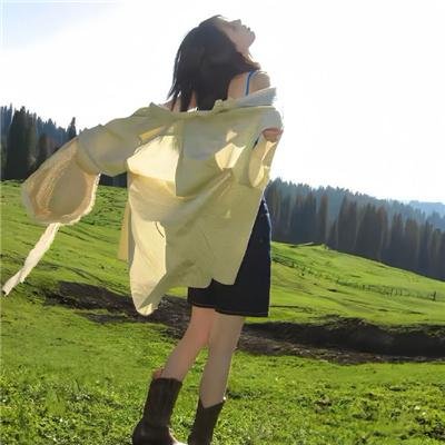 宝可梦 地平线